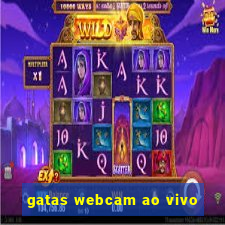 gatas webcam ao vivo